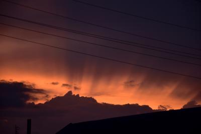 Прикрепленное изображение: 2.JPG